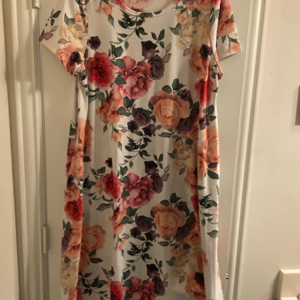 LuLaRoe Jessie Dress